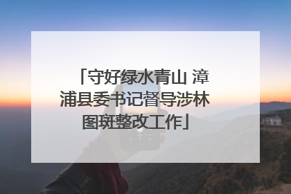 守好绿水青山 漳浦县委书记督导涉林图斑整改工作