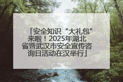 安全知识“大礼包”来啦！2025年湖北省暨武汉市安全宣传咨询日活动在汉举行