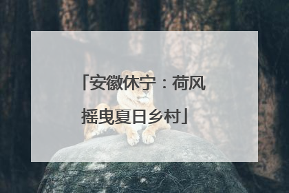 安徽休宁：荷风摇曳夏日乡村