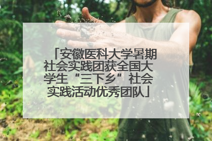 安徽医科大学暑期社会实践团获全国大学生“三下乡”社会实践活动优秀团队