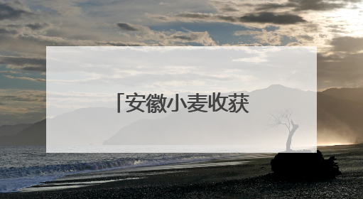 安徽小麦收获进度已过四成