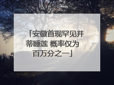 安徽首现罕见并蒂睡莲 概率仅为百万分之一