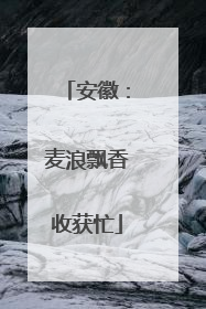 安徽：麦浪飘香收获忙