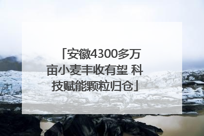 安徽4300多万亩小麦丰收有望 科技赋能颗粒归仓