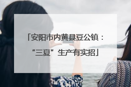 安阳市内黄县豆公镇：“三夏”生产有实招