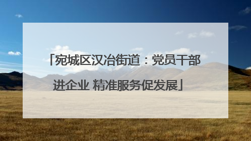 宛城区汉冶街道：党员干部进企业 精准服务促发展