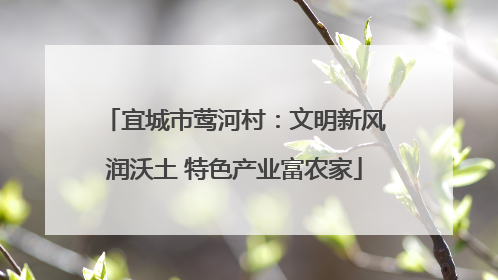 宜城市莺河村：文明新风润沃土 特色产业富农家