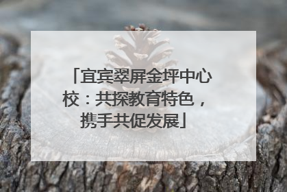 宜宾翠屏金坪中心校：共探教育特色，携手共促发展