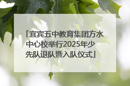 宜宾五中教育集团方水中心校举行2025年少先队退队暨入队仪式
