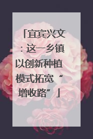 宜宾兴文：这一乡镇以创新种植模式拓宽“增收路”