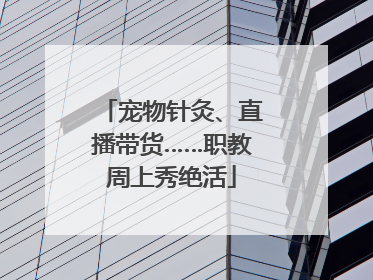 宠物针灸、直播带货……职教周上秀绝活