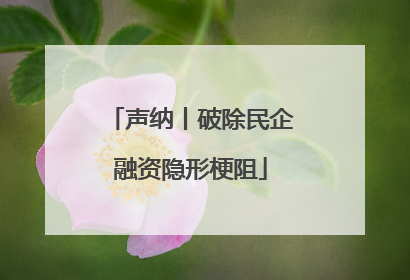 声纳丨破除民企融资隐形梗阻