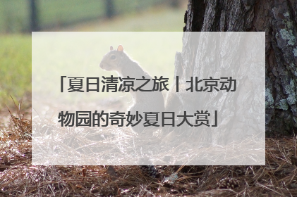 夏日清凉之旅丨北京动物园的奇妙夏日大赏
