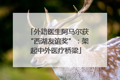 外籍医生阿马尔获“西湖友谊奖”：架起中外医疗桥梁