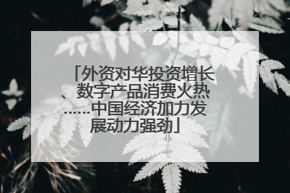 外资对华投资增长、数字产品消费火热……中国经济加力发展动力强劲