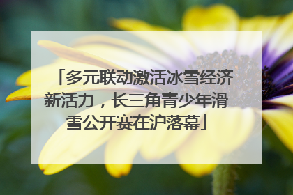 多元联动激活冰雪经济新活力，长三角青少年滑雪公开赛在沪落幕