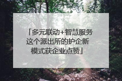 多元联动+智慧服务 这个派出所的护企新模式获企业点赞