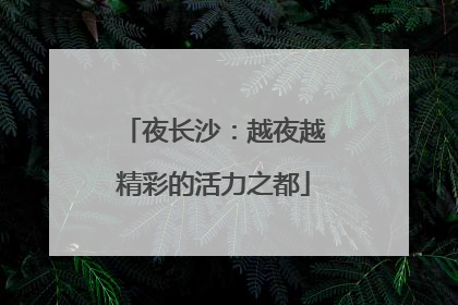 夜长沙：越夜越精彩的活力之都