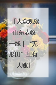 大众观察·山东麦收一线｜“无形田”里有大账