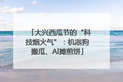 大兴西瓜节的“科技烟火气”：机器狗搬瓜、AI摊煎饼