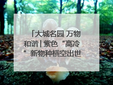 大城名园 万物和谐│紫色“高冷”新物种横空出世，皱褶叶片暗藏进化密码