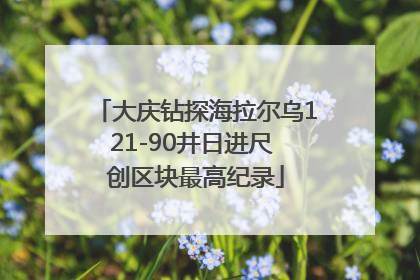 大庆钻探海拉尔乌121-90井日进尺 创区块最高纪录