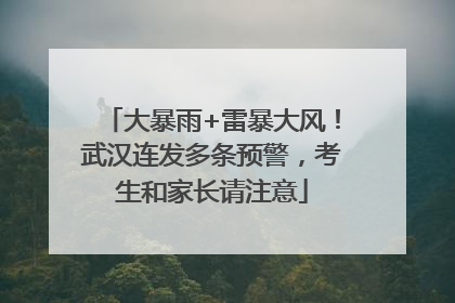 大暴雨+雷暴大风！武汉连发多条预警，考生和家长请注意