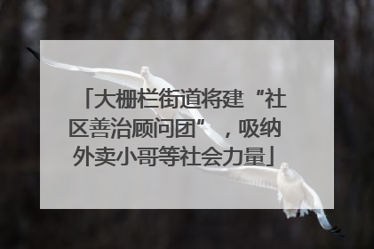 大栅栏街道将建“社区善治顾问团”，吸纳外卖小哥等社会力量