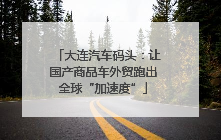 大连汽车码头：让国产商品车外贸跑出全球“加速度”
