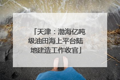天津：渤海亿吨级油田海上平台陆地建造工作收官