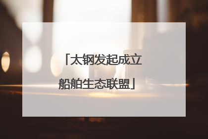 太钢发起成立船舶生态联盟