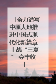 奋力谱写中原大地推进中国式现代化新篇章丨战“三夏” 夺丰收