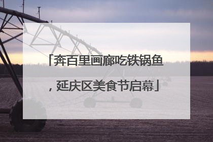 奔百里画廊吃铁锅鱼，延庆区美食节启幕