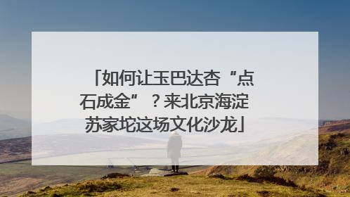 如何让玉巴达杏“点石成金”？来北京海淀苏家坨这场文化沙龙