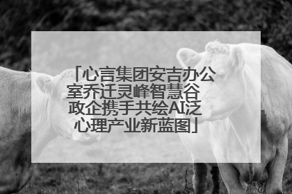 心言集团安吉办公室乔迁灵峰智慧谷 政企携手共绘AI泛心理产业新蓝图