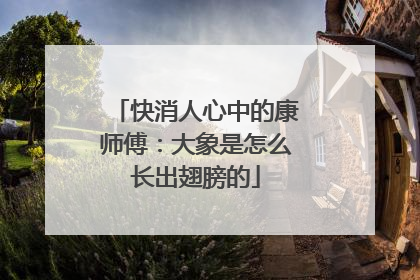 快消人心中的康师傅：大象是怎么长出翅膀的