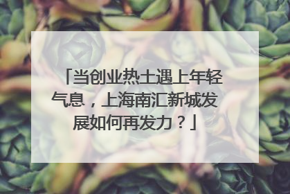 当创业热土遇上年轻气息，上海南汇新城发展如何再发力？