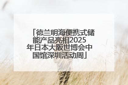 德兰明海便携式储能产品亮相2025年日本大阪世博会中国馆深圳活动周