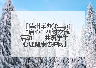 德州举办第二届“启心”研讨交流活动——共筑学生心理健康防护网