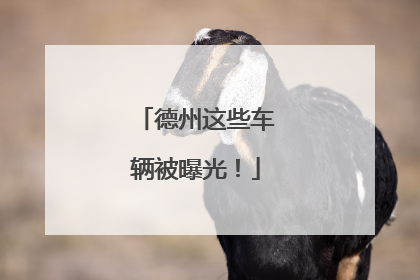 德州这些车辆被曝光！