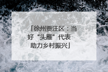 徐州贾汪区：当好“头雁”代表 助力乡村振兴