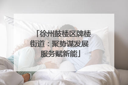徐州鼓楼区牌楼街道：聚势谋发展 服务赋新能