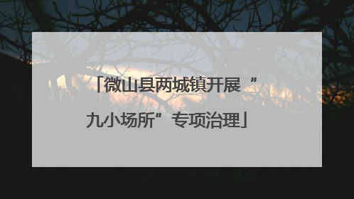 微山县两城镇开展“九小场所”专项治理