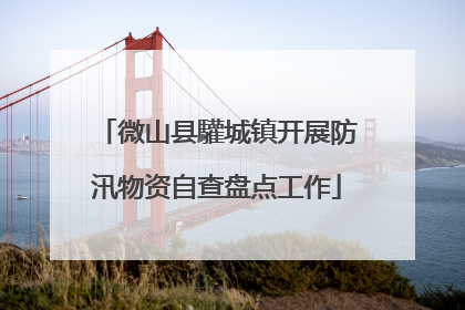 微山县驩城镇开展防汛物资自查盘点工作