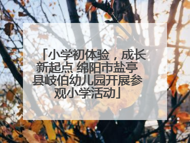 小学初体验，成长新起点 绵阳市盐亭县岐伯幼儿园开展参观小学活动
