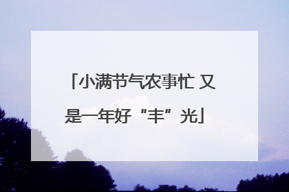 小满节气农事忙 又是一年好“丰”光