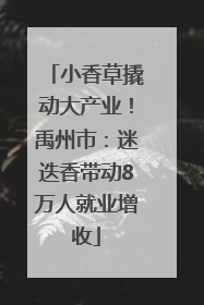 小香草撬动大产业！禹州市：迷迭香带动8万人就业增收