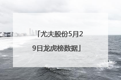 尤夫股份5月29日龙虎榜数据