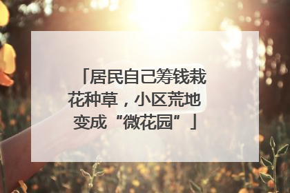 居民自己筹钱栽花种草，小区荒地变成“微花园”