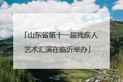山东省第十一届残疾人艺术汇演在临沂举办